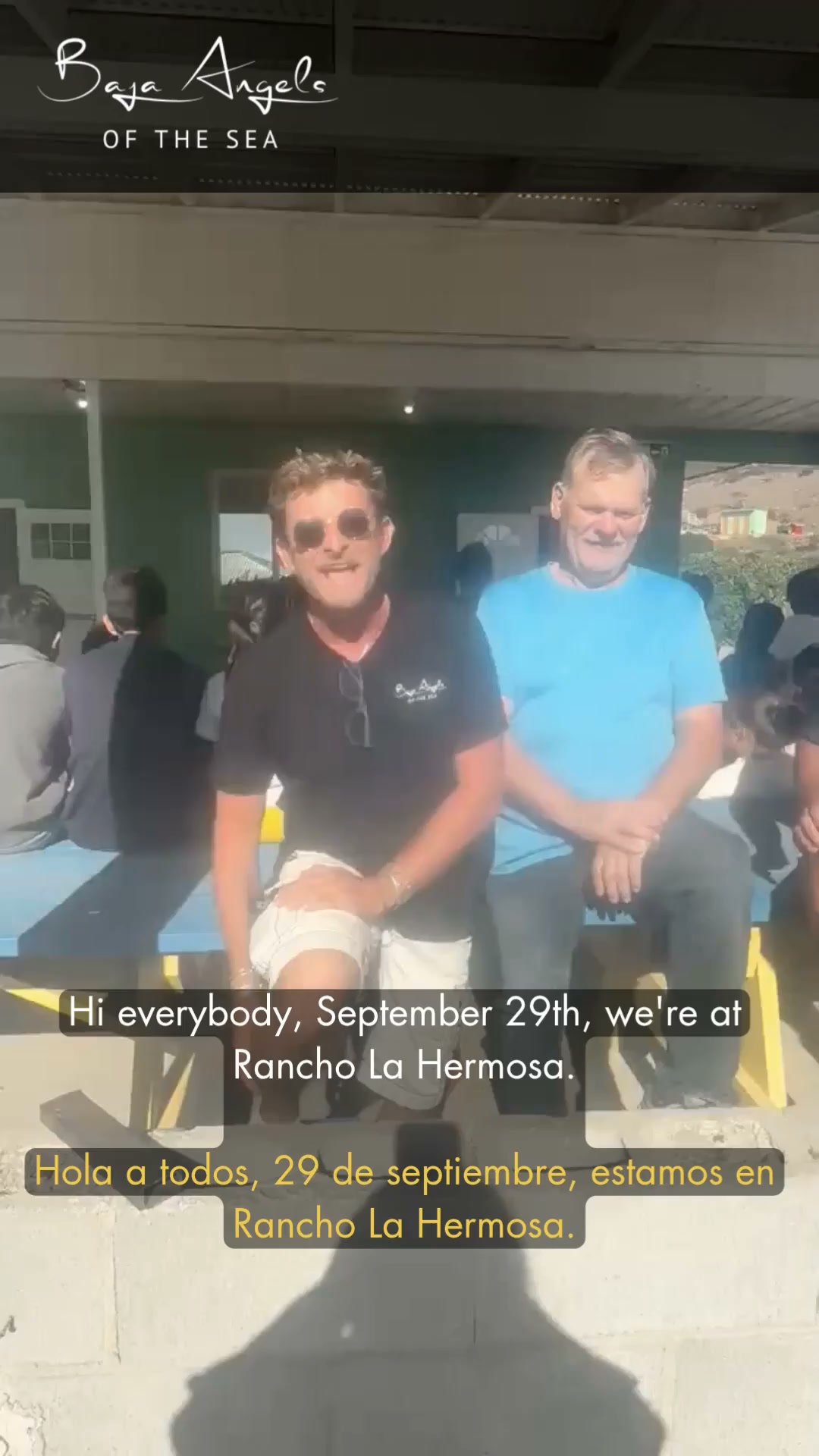 Baja Angels Of The Sea